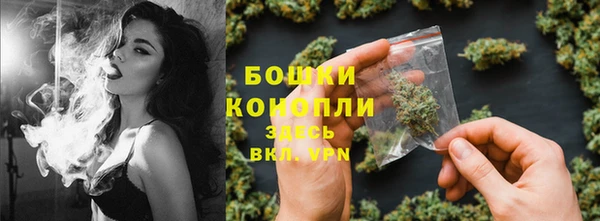 ешки Бронницы