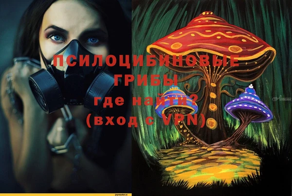 ешки Бронницы