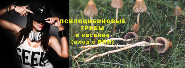 ешки Бронницы
