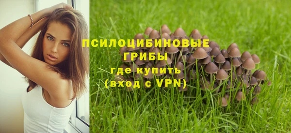 мескалин Бородино