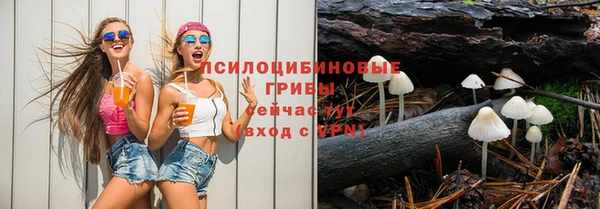 2c-b Богданович