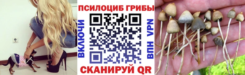 Псилоцибиновые грибы MAGIC MUSHROOMS  Верхний Уфалей 