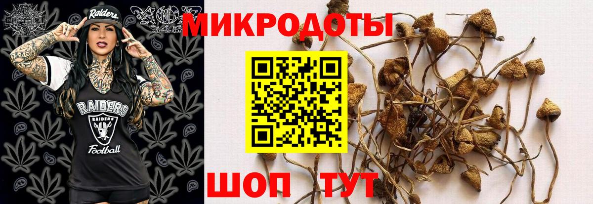Верхний Уфалей  Галлюциногенные грибы ЛСД  Галлюциногенные грибы MAGIC MUSHROOMS  Вход с VPN 