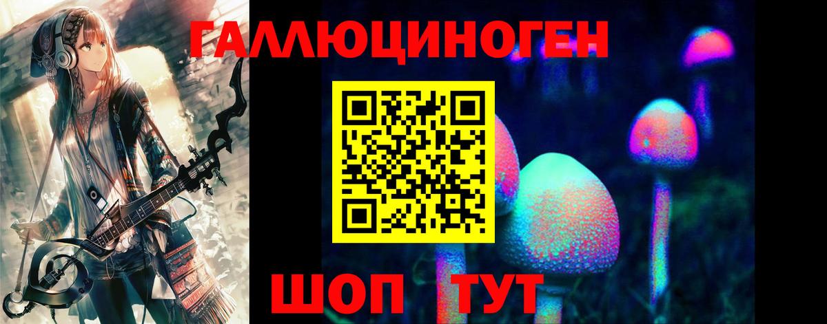 Галлюциногенные грибы Psilocybe Верхний Уфалей