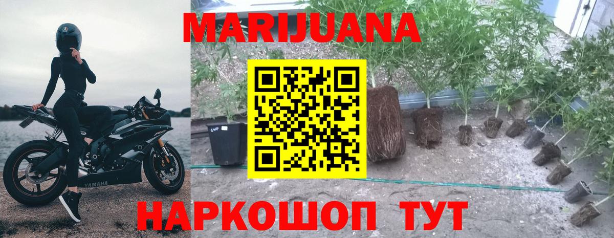 Шишки марихуана MAZAR  Верхний Уфалей  Марихуана Bruce Banner  Каннабис MAZAR 